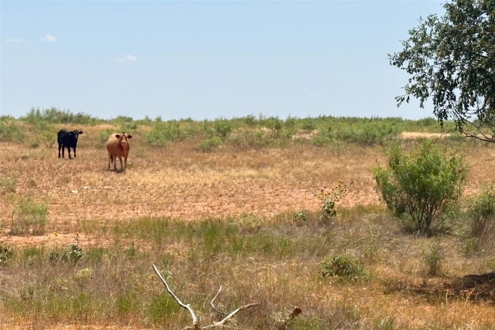 320 acres in Hardeman County - photo 29