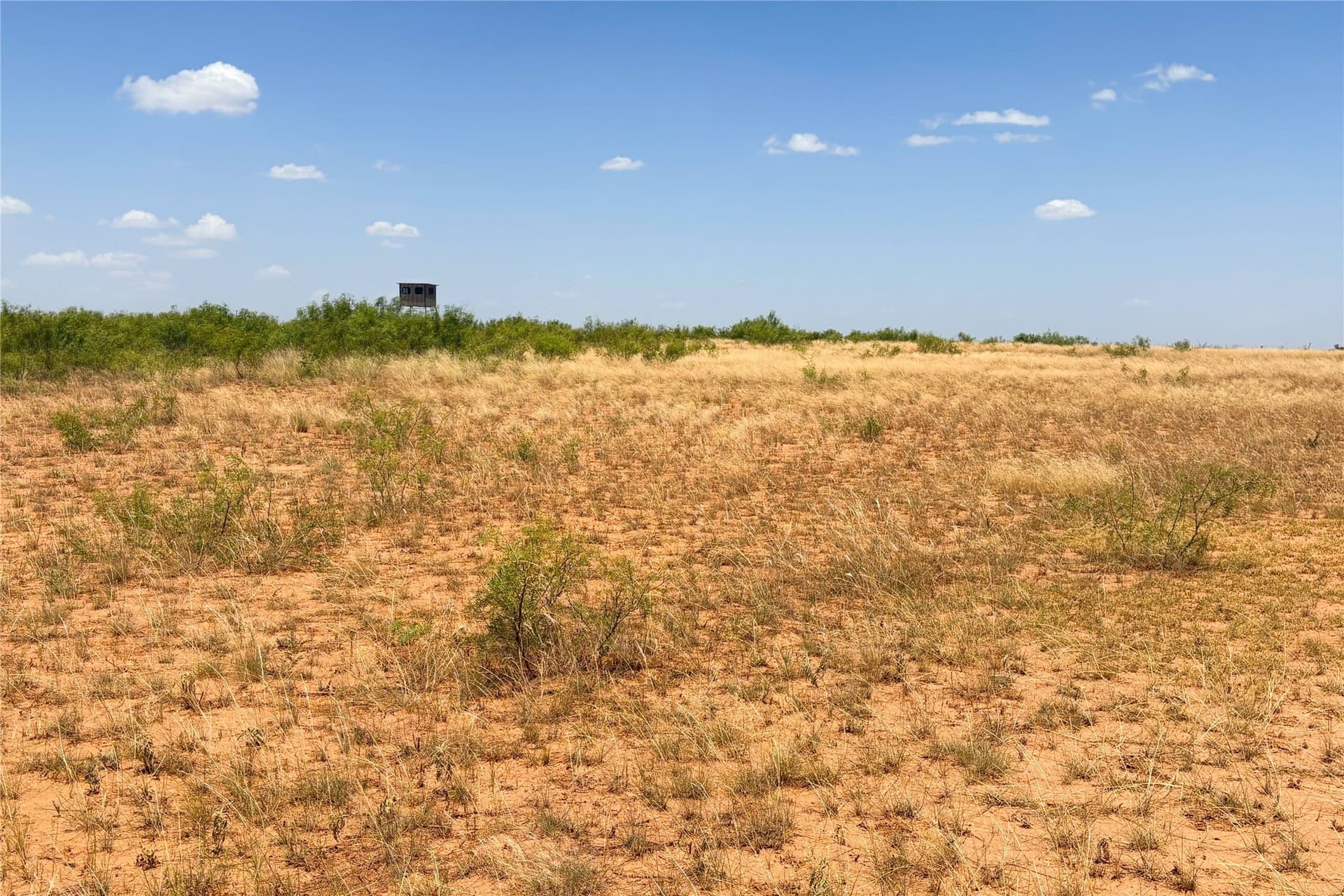 320 acres in Hardeman County - photo 32