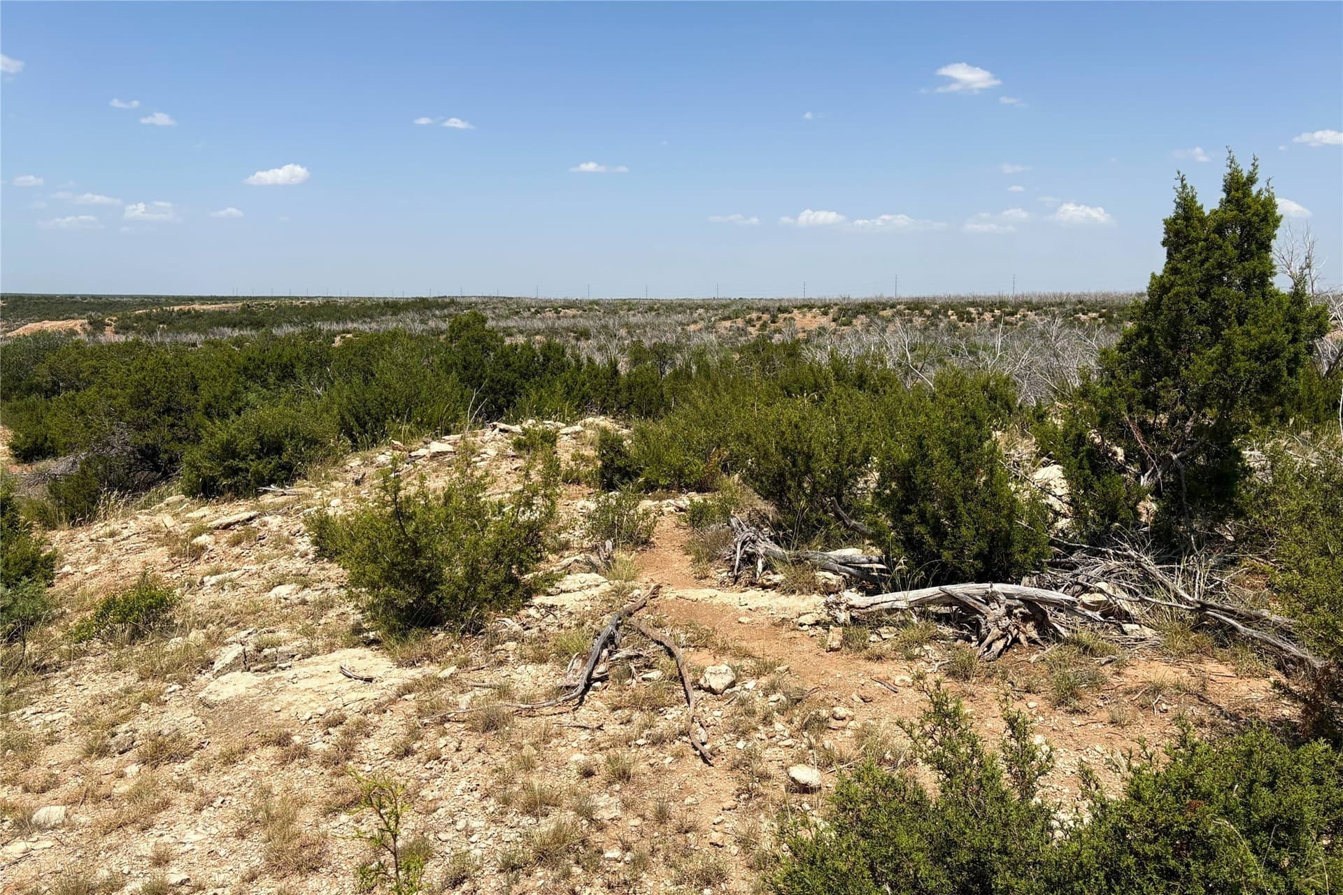 320 acres in Hardeman County - photo 40