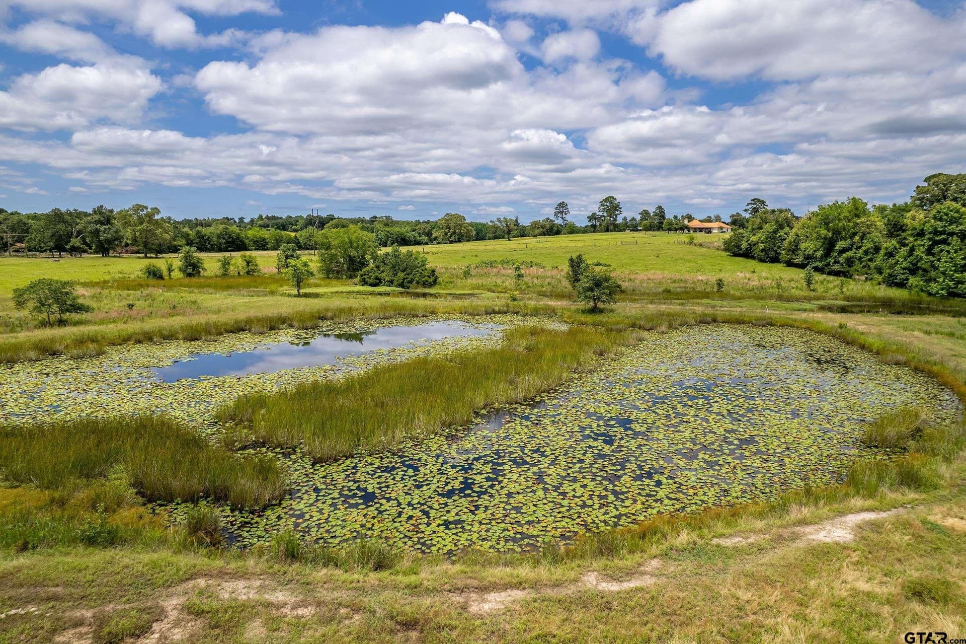 31.2 acres in Wood County - photo 33