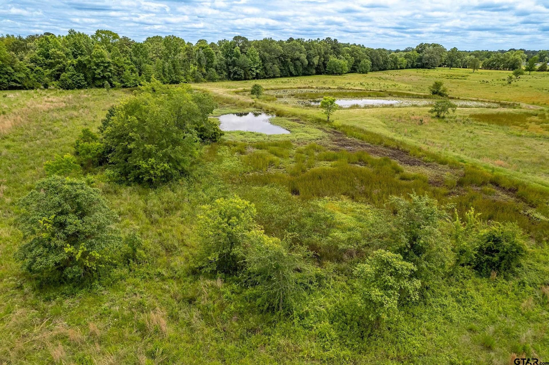 31.2 acres in Wood County - photo 30