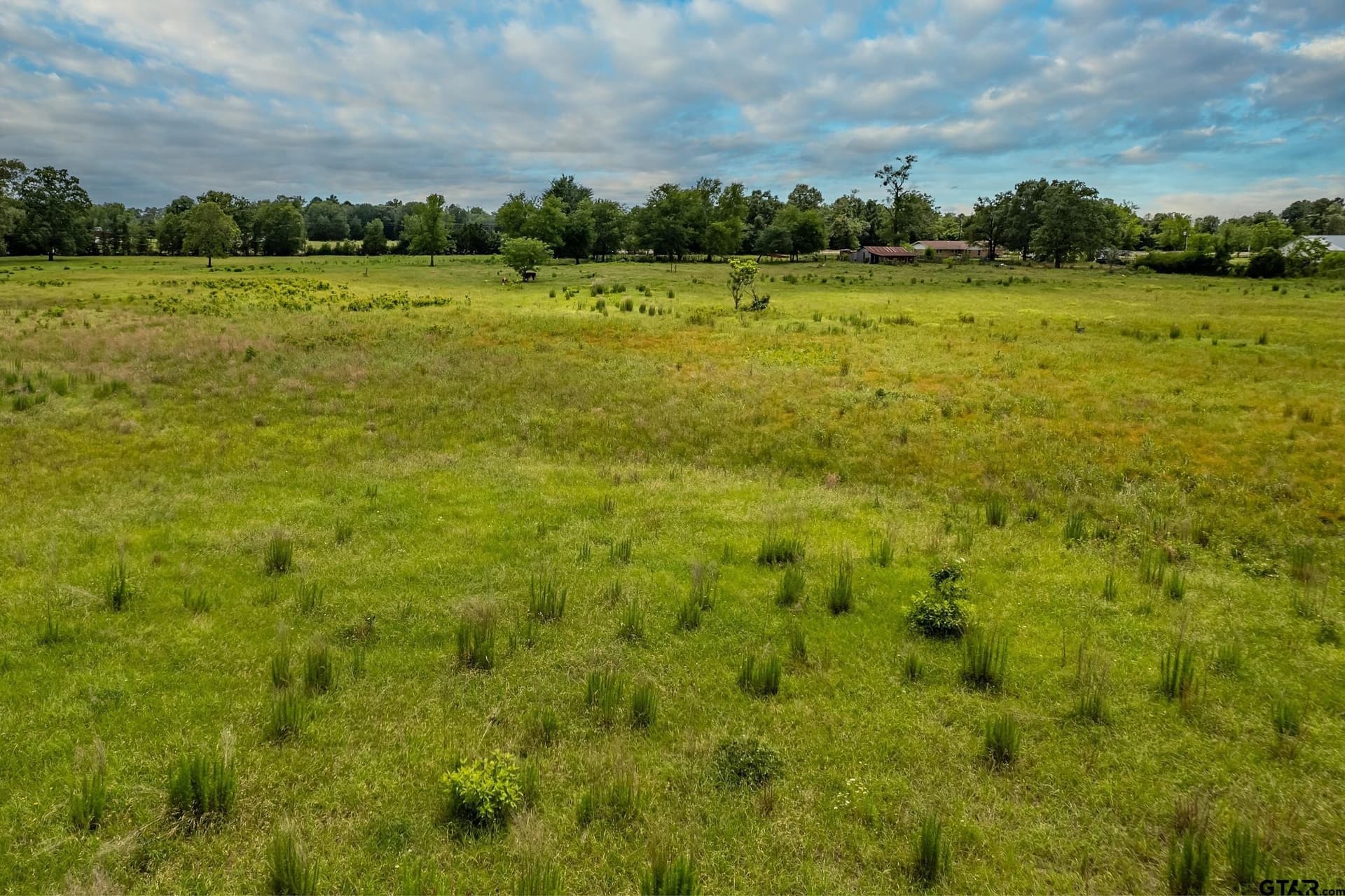 31.2 acres in Wood County - photo 35