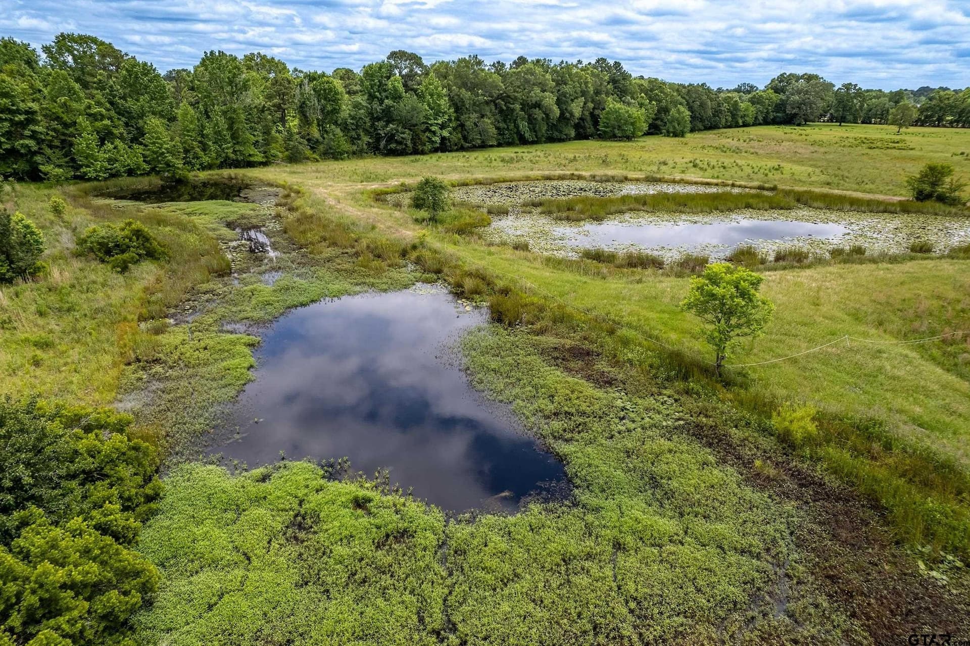 31.2 acres in Wood County - photo 31