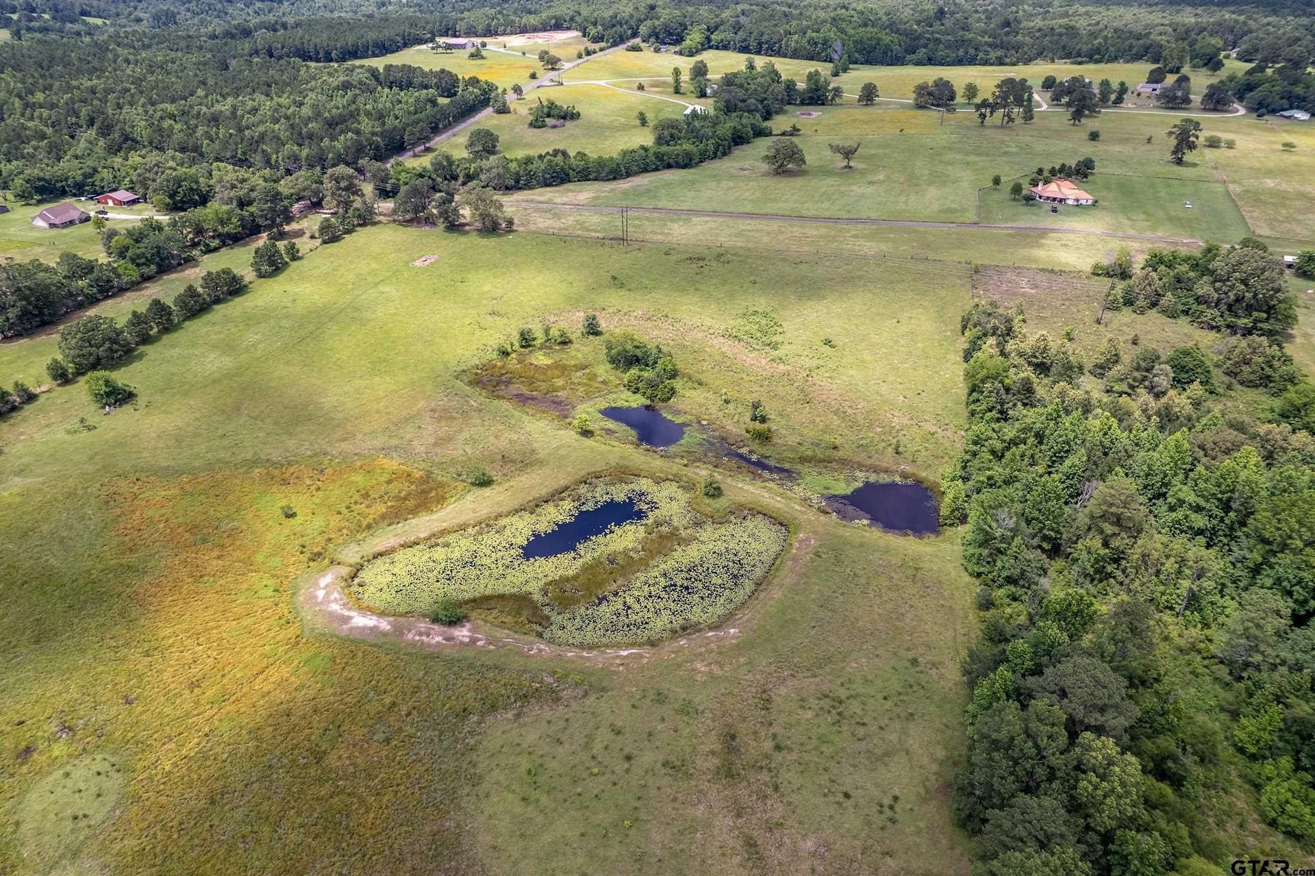 31.2 acres in Wood County - photo 26