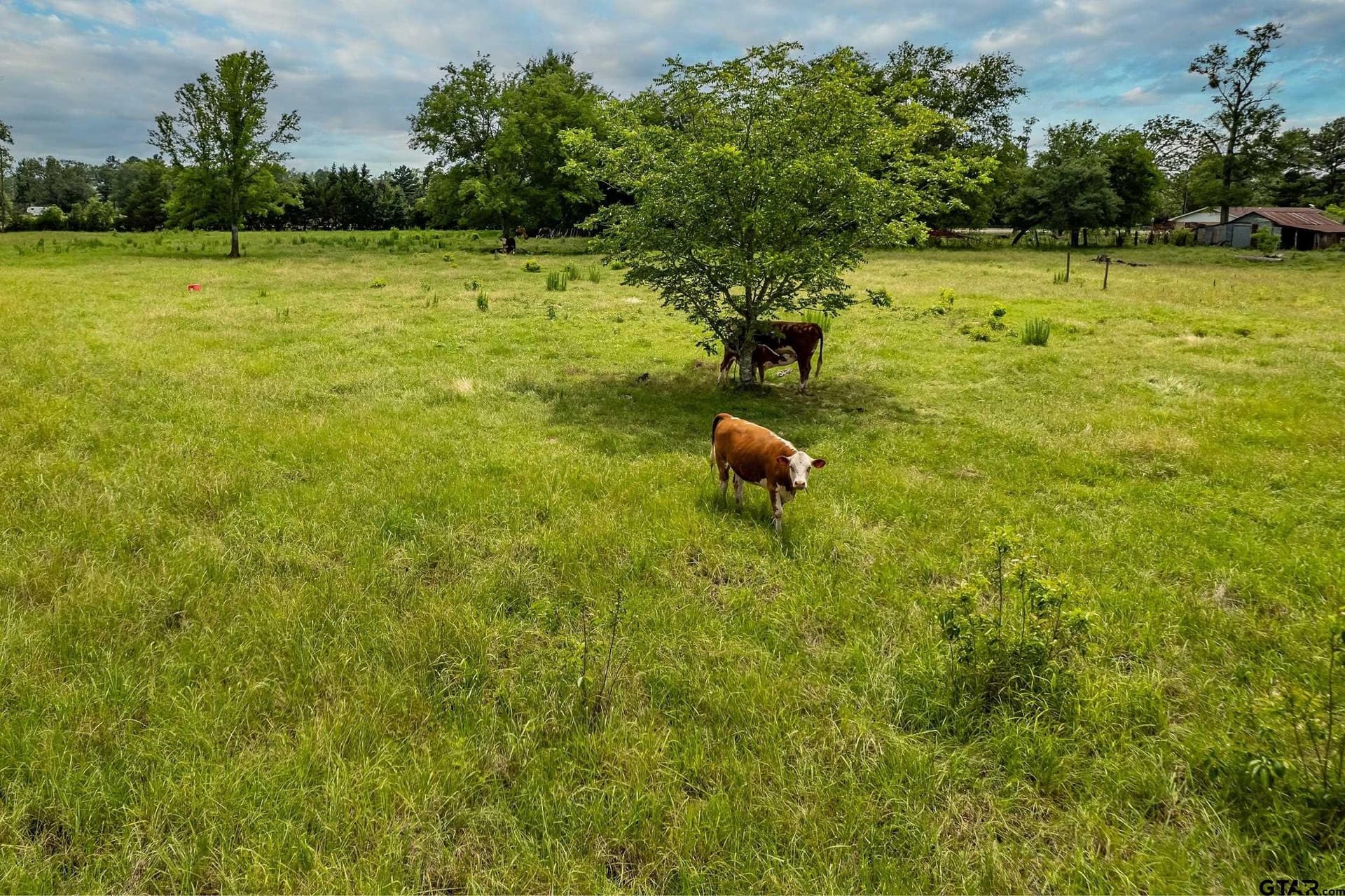 31.2 acres in Wood County - photo 36