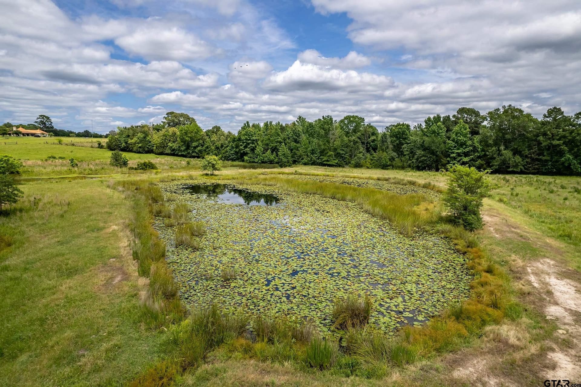 31.2 acres in Wood County - photo 32