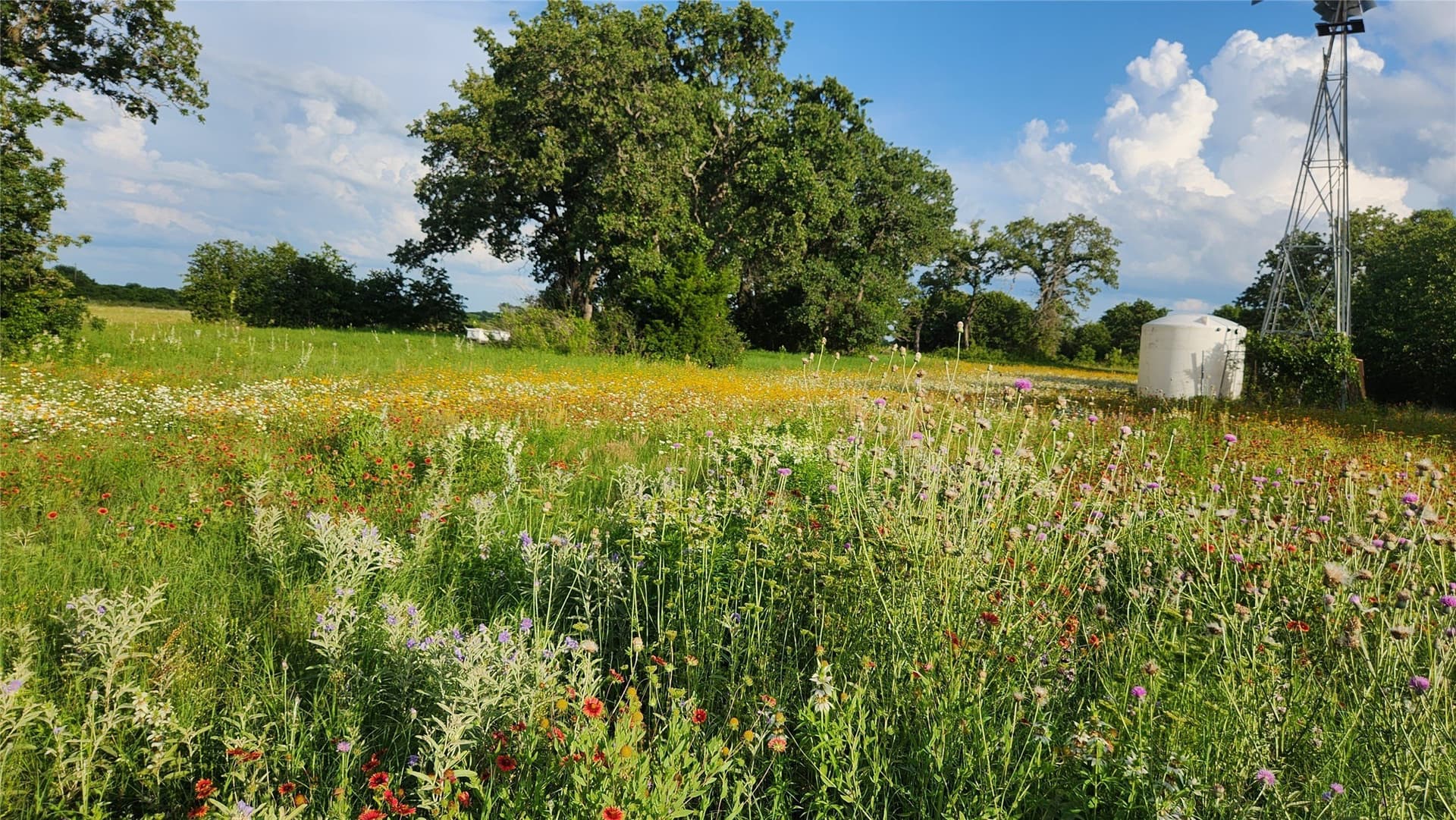 91.12 acres in Eastland County - photo 18