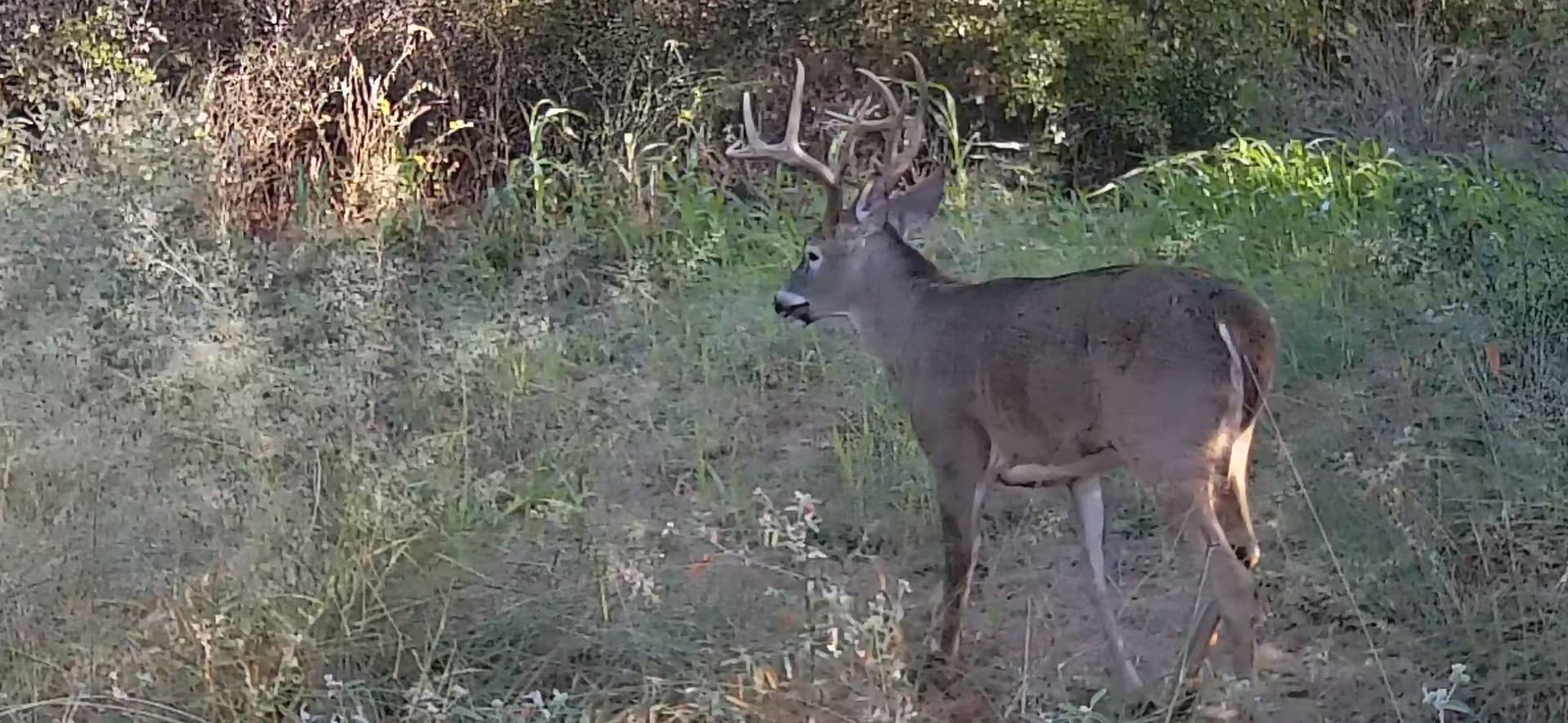 91.12 acres in Eastland County - photo 25