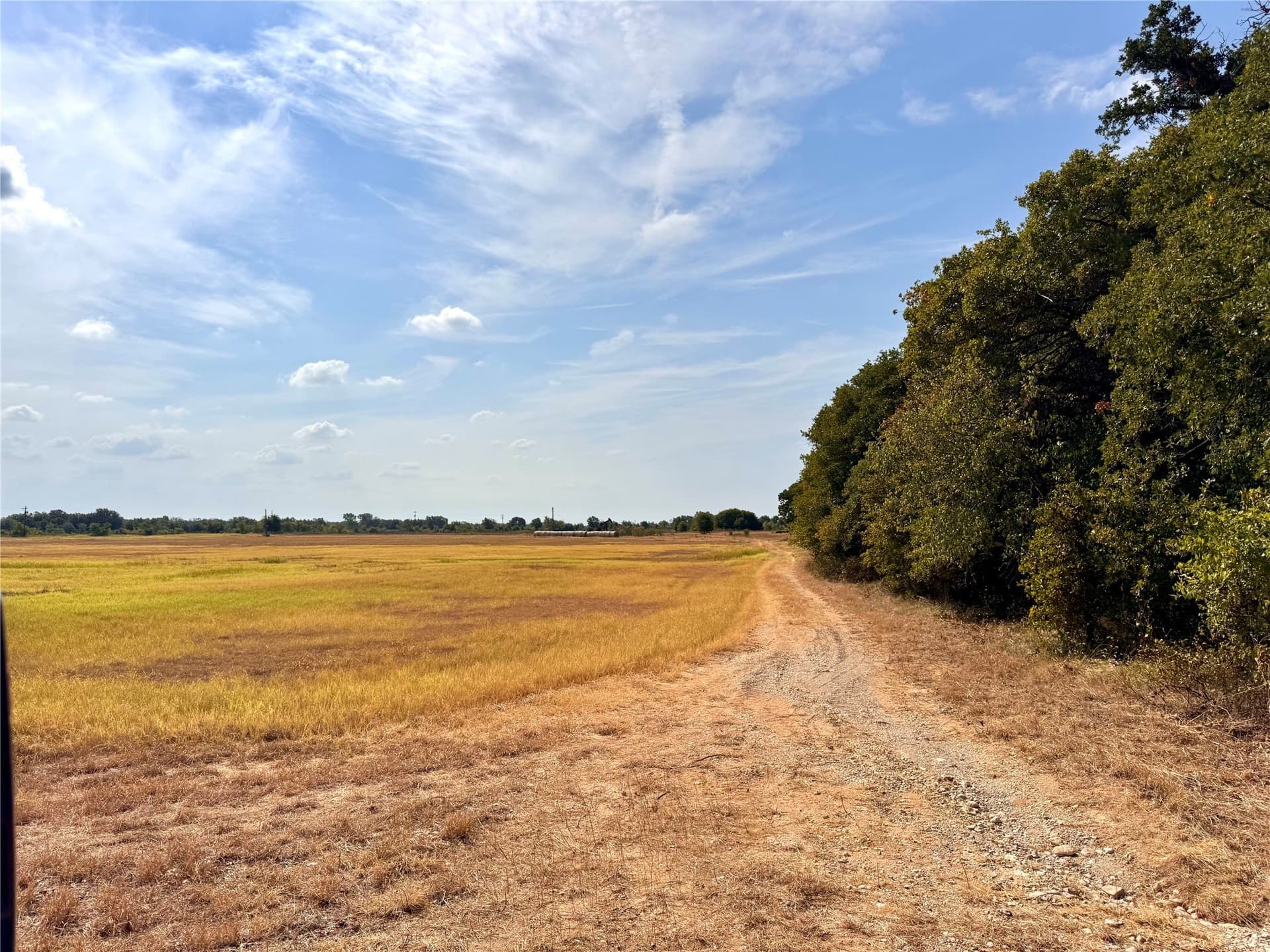 91.12 acres in Eastland County - photo 20