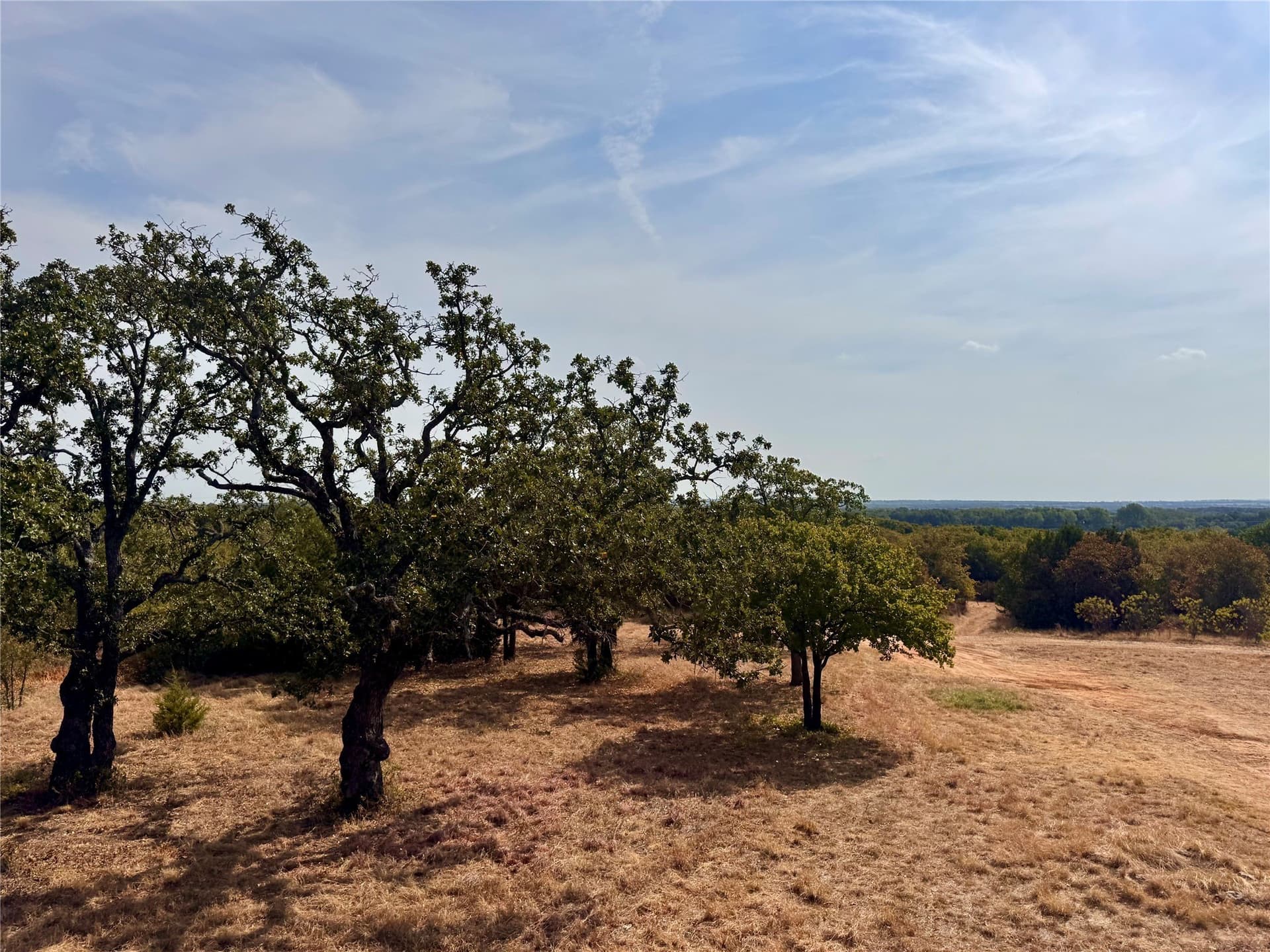 91.12 acres in Eastland County - photo 21
