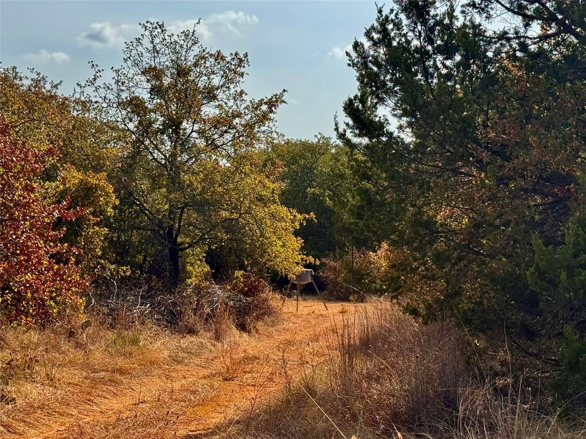 91.12 acres in Eastland County - photo 22