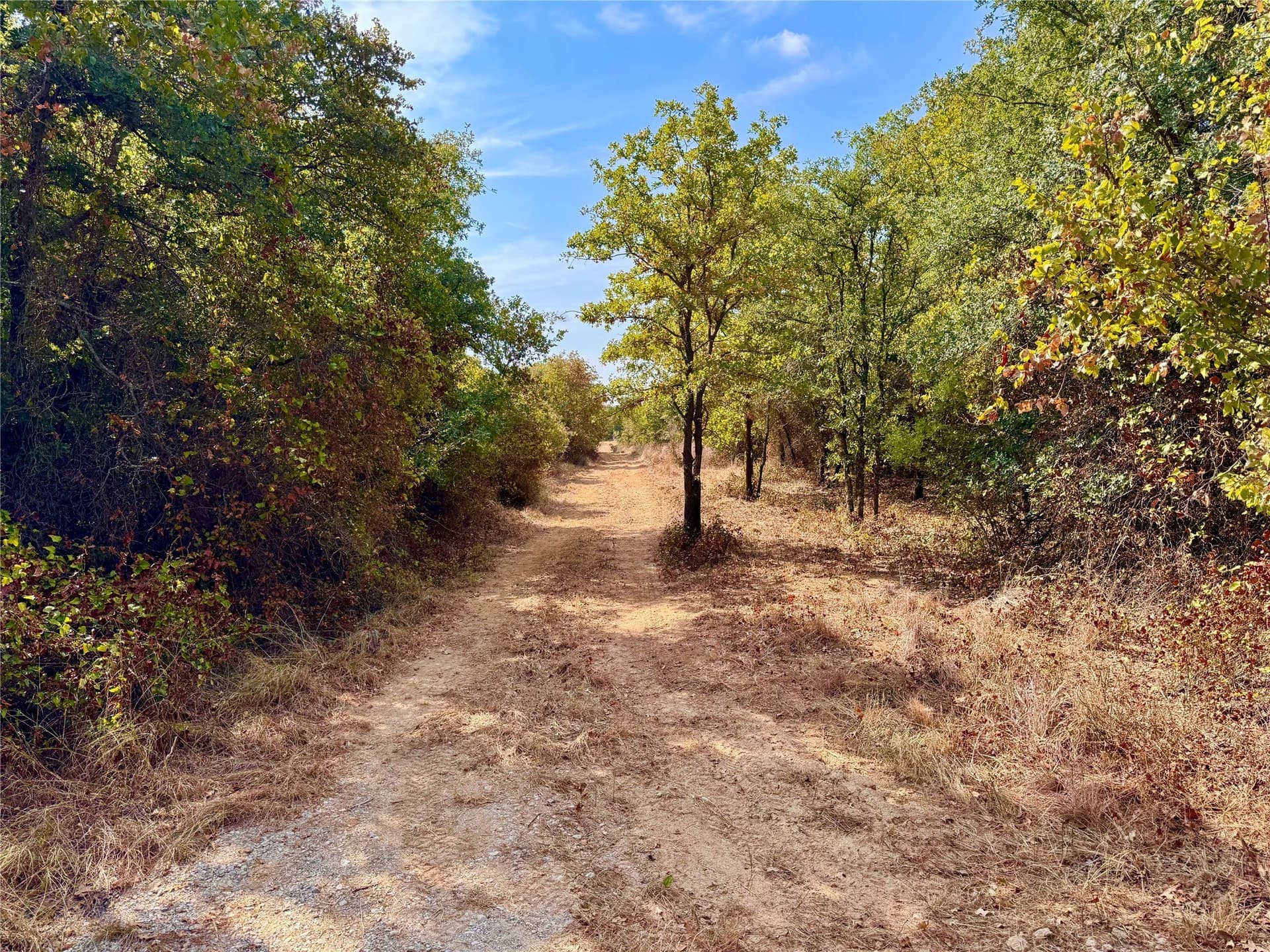 91.12 acres in Eastland County - photo 23