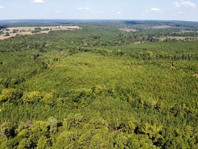 48 acres in Texas County - photo 13