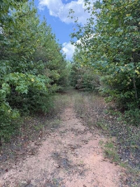 48 acres in Texas County - photo 8