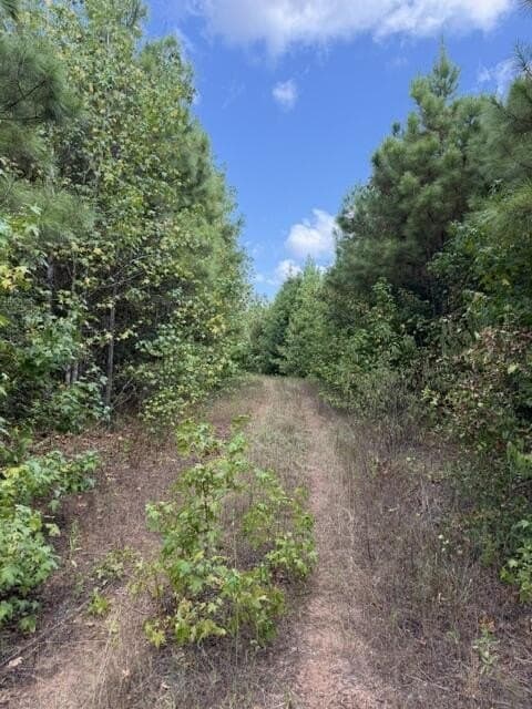 48 acres in Texas County - photo 7