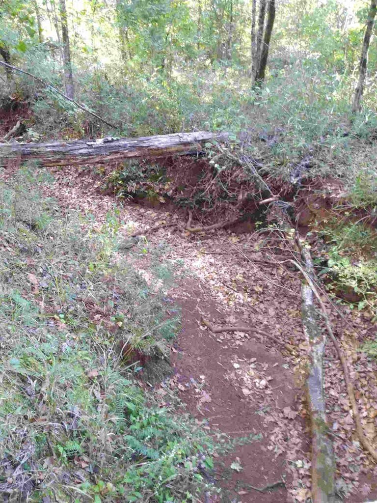 48 acres in Texas County - photo 21