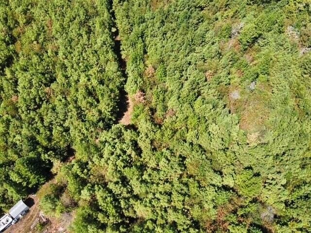 48 acres in Texas County - photo 10