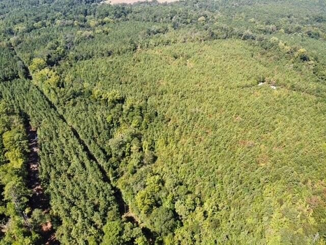 48 acres in Texas County - photo 12