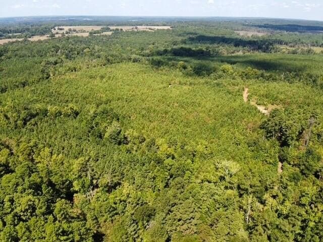 48 acres in Texas County - photo 14
