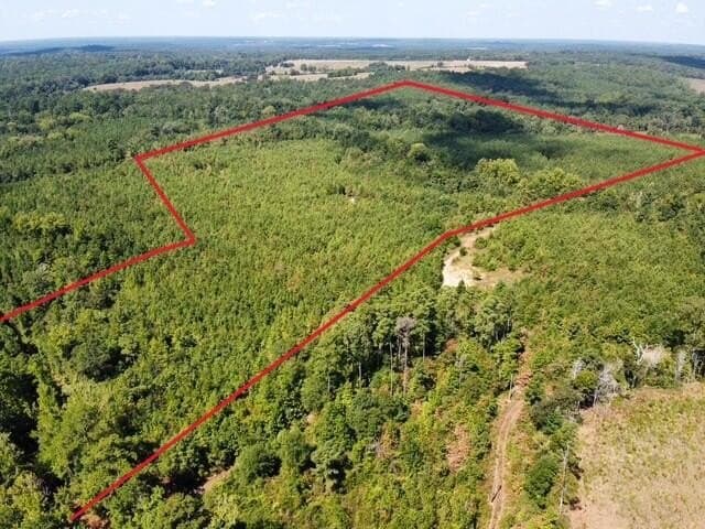48 acres in Texas County - photo 15