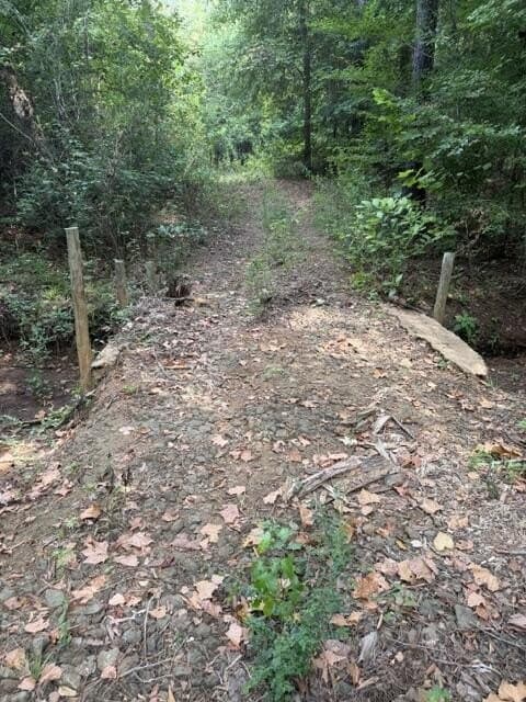 48 acres in Texas County - photo 6