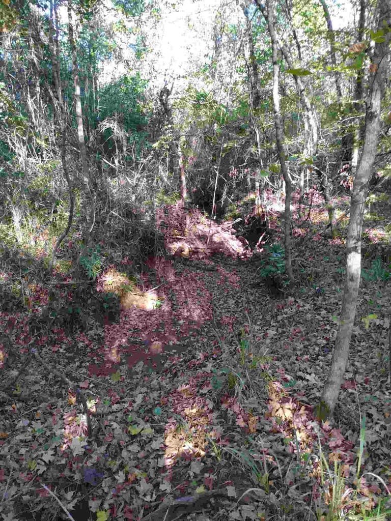 48 acres in Texas County - photo 23