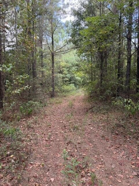 48 acres in Texas County - photo 4