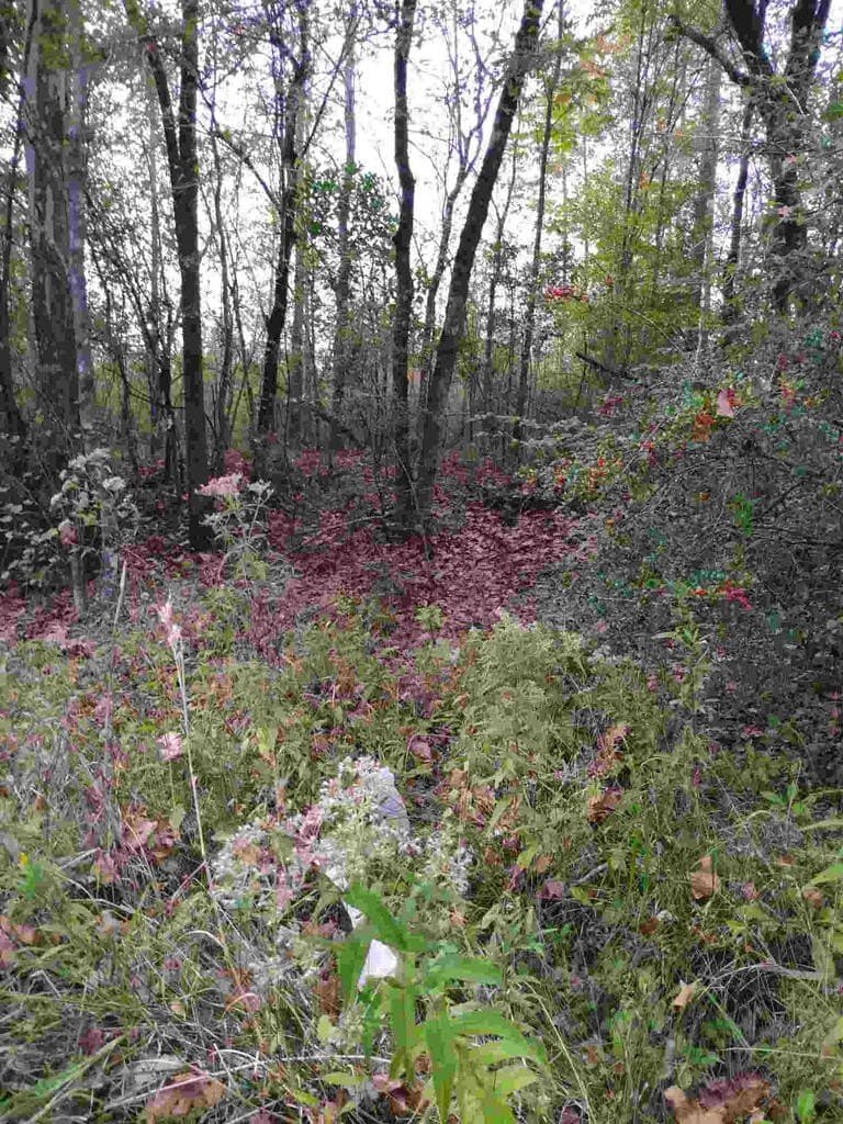 48 acres in Texas County - photo 22