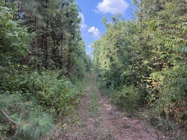 48 acres in Texas County - photo 2