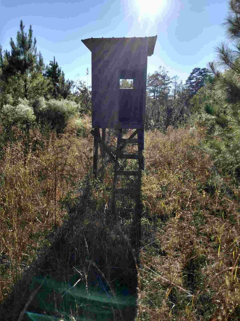 48 acres in Texas County - photo 18