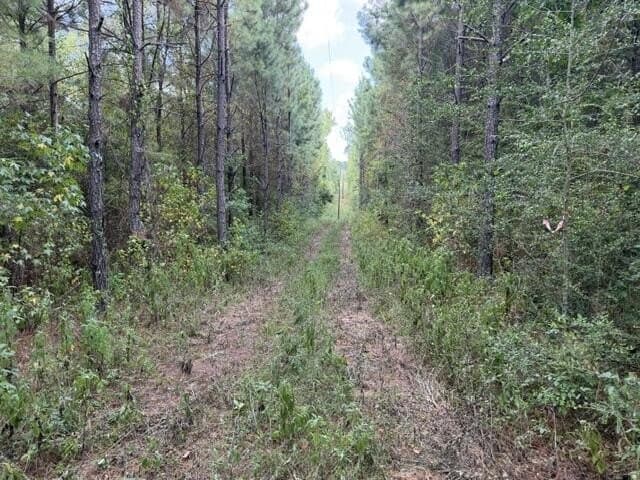 48 acres in Texas County - photo 3