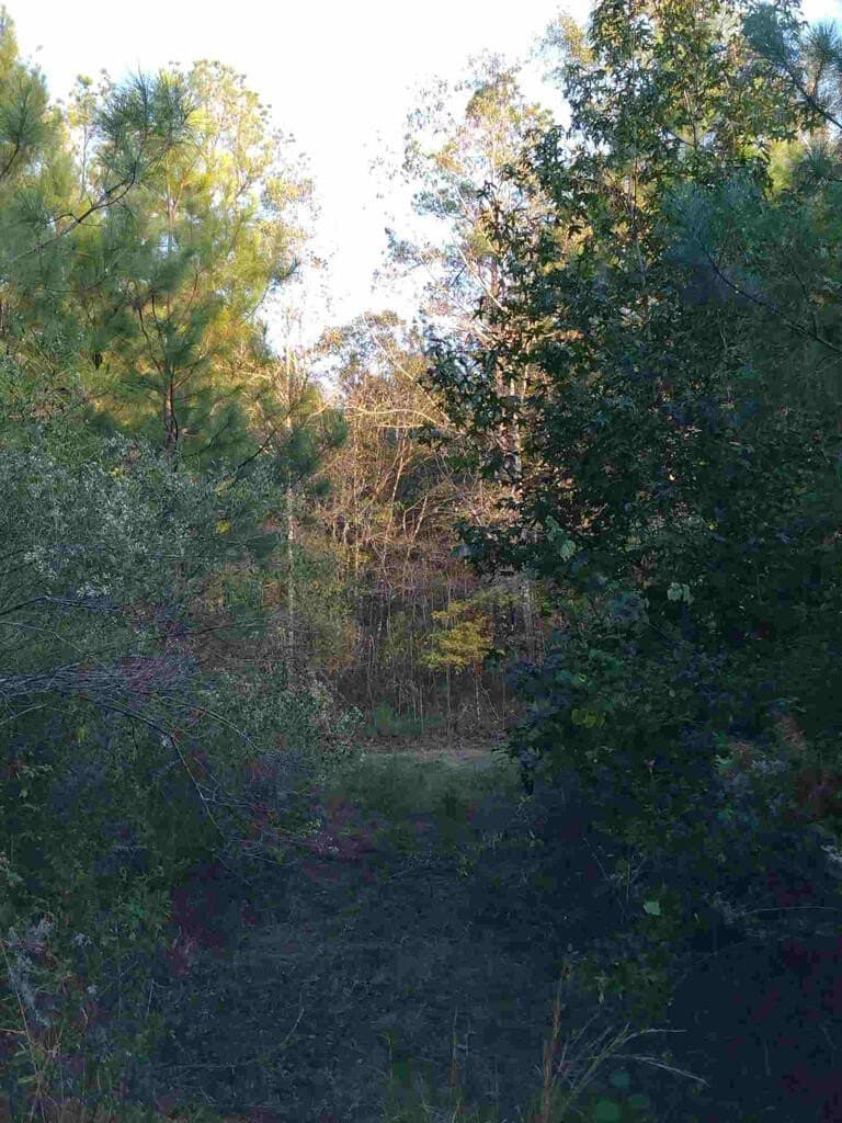 48 acres in Texas County - photo 24