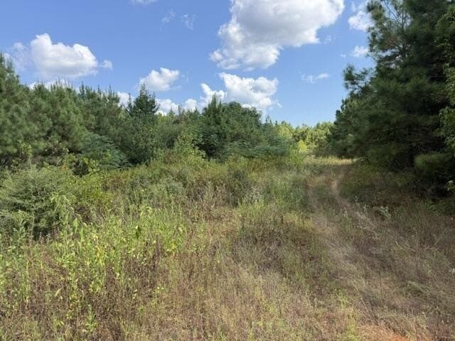 48 acres in Texas County - photo 9