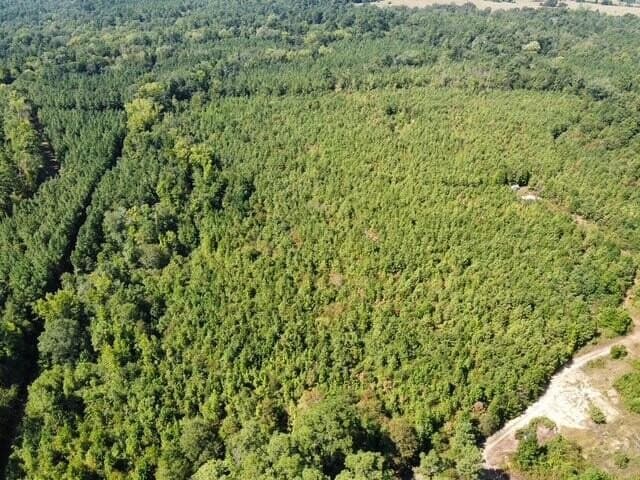 48 acres in Texas County - photo 11