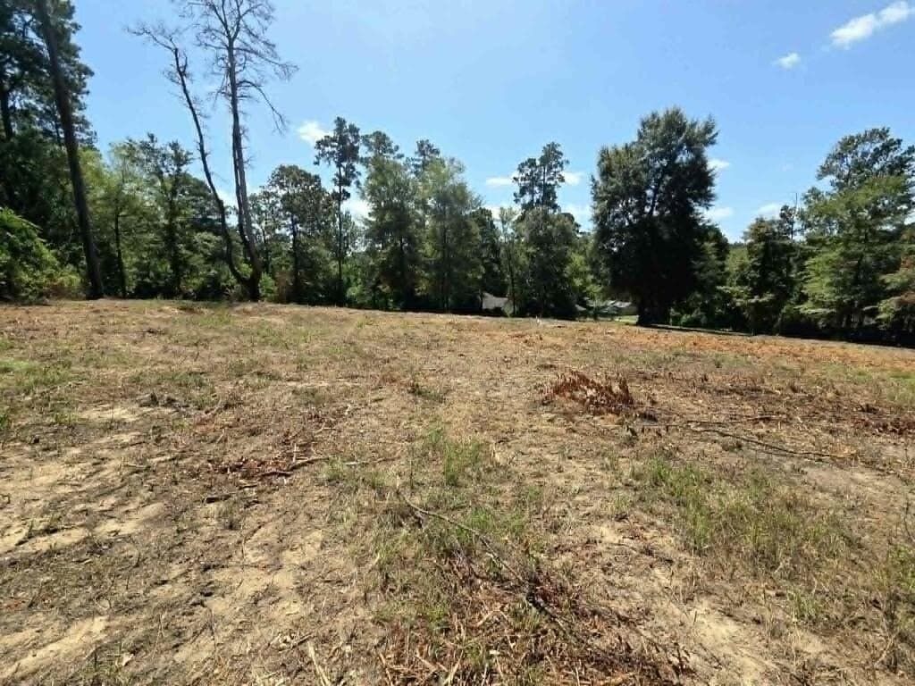 1.69 acres in Texas County - photo 5