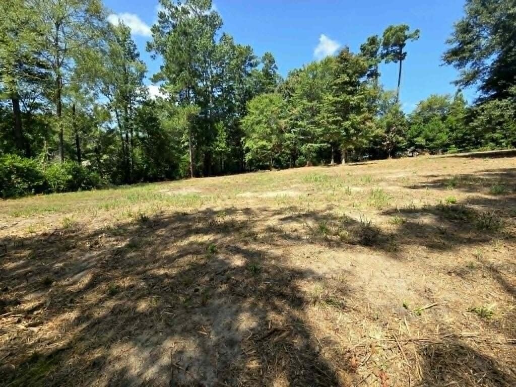 1.69 acres in Texas County - photo 8