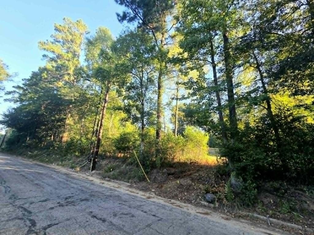 1.69 acres in Texas County - photo 2