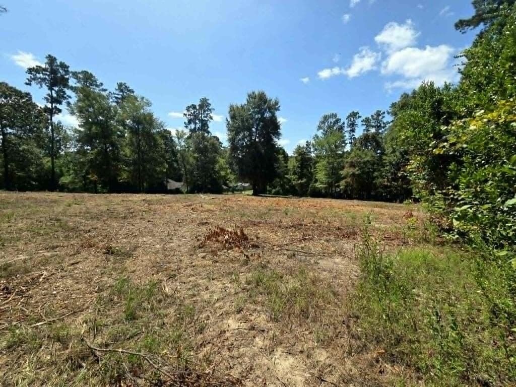 1.69 acres in Texas County - photo 7