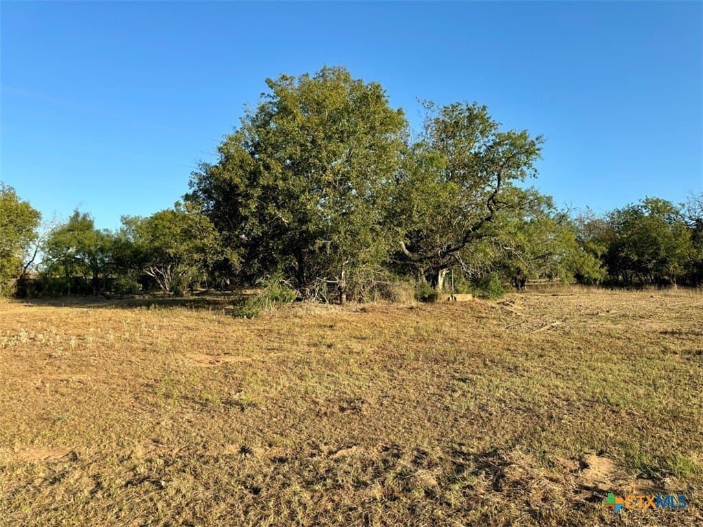 11.93 acres in Wilson County gallery image 3