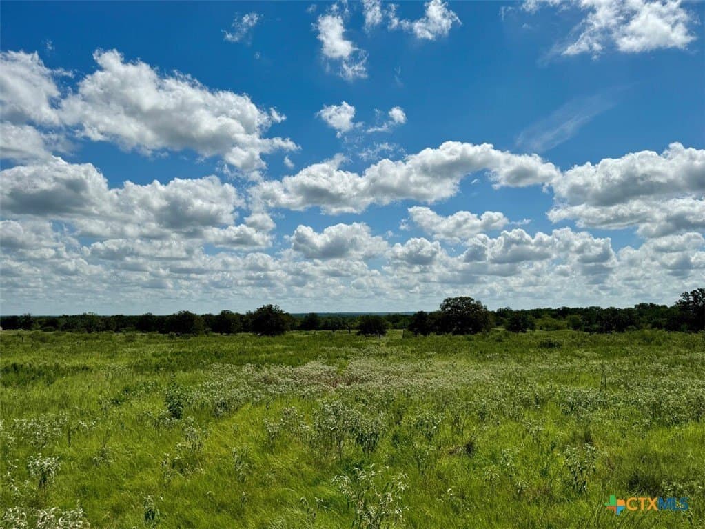 11.93 acres in Wilson County gallery image 2