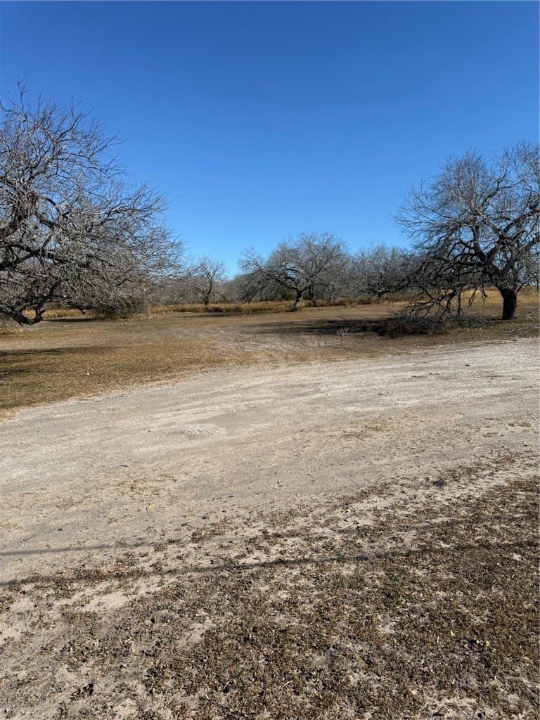 1.27 acres in Nueces County gallery image 2