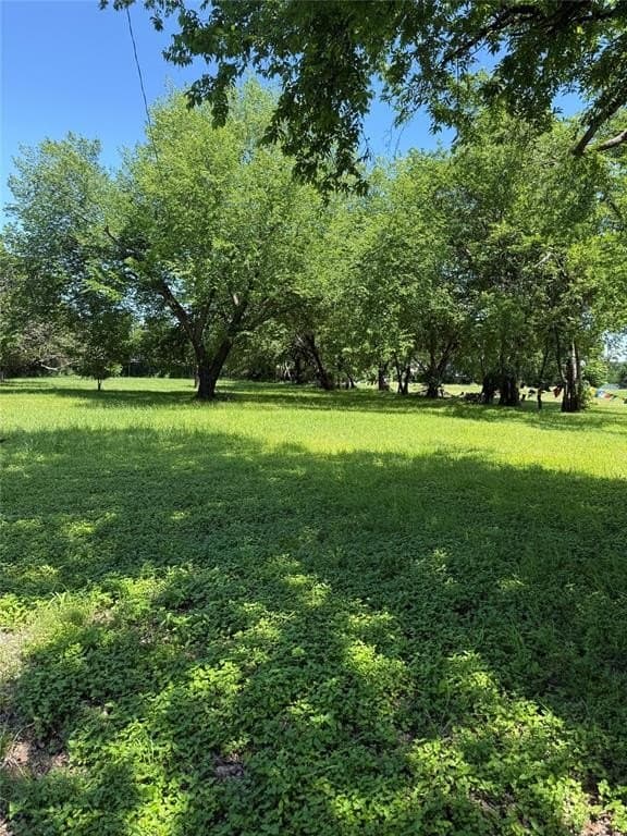 1 acres in Dallas County gallery image 4