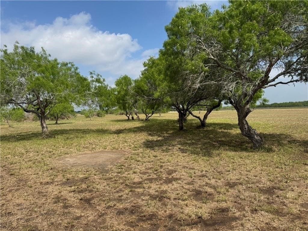 0.85 acres in Kleberg County - photo 14
