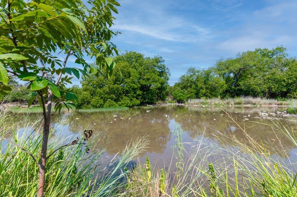 277 acres in Kimble County featured view
