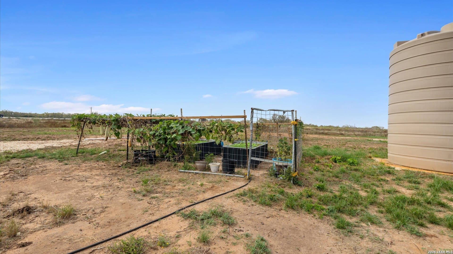 32.76 acres in Atascosa County - photo 16