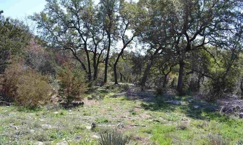 3.6 acres in Bell County - photo 11