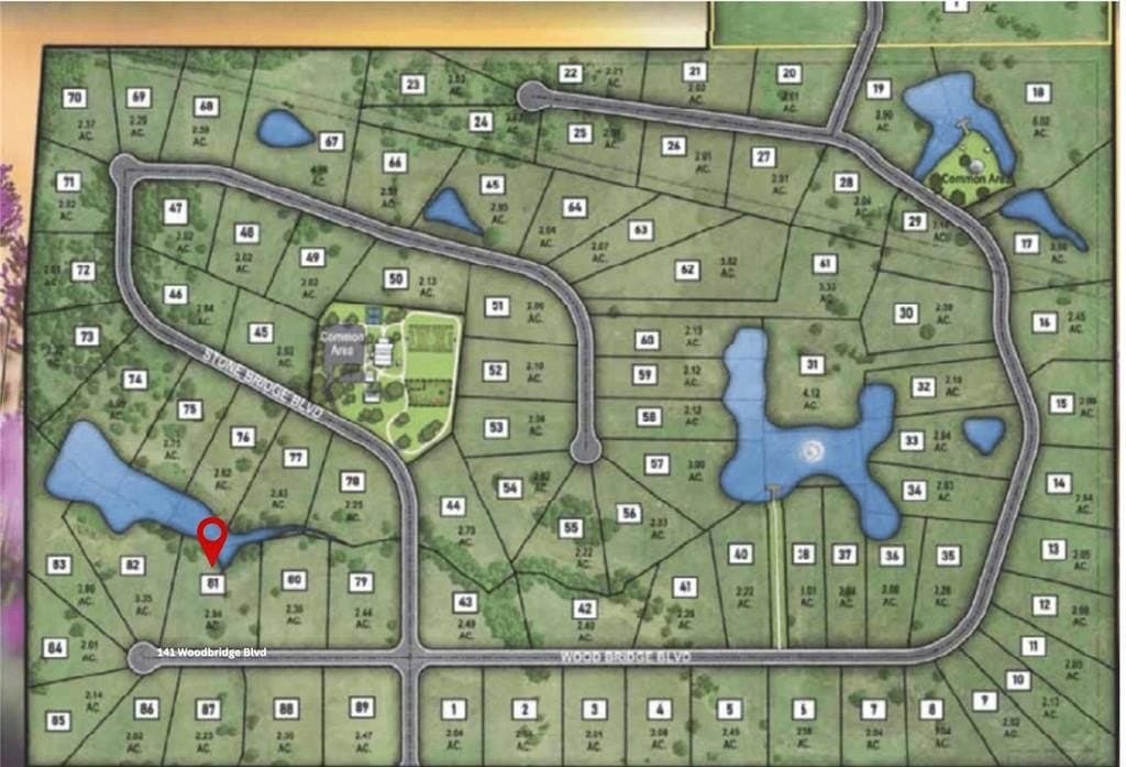 2.94 acres in Montague County gallery image 3