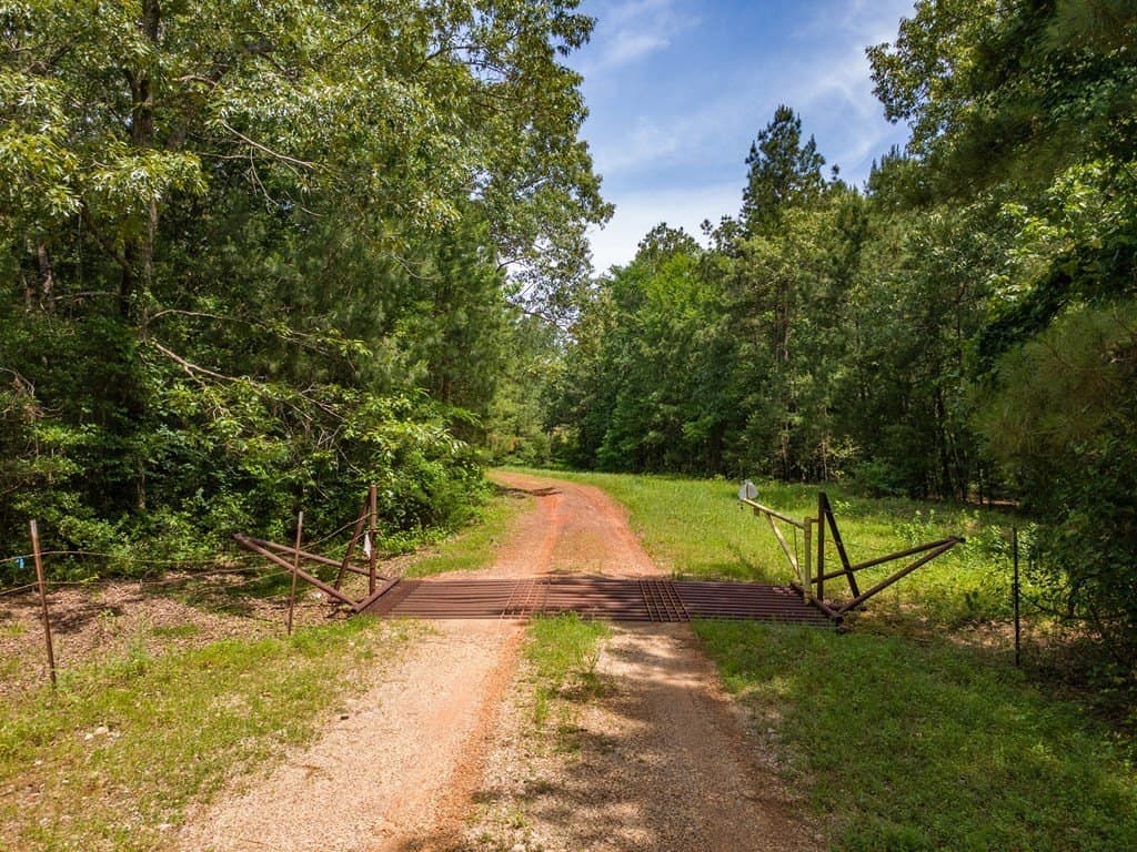 13.07 acres in Texas County featured view