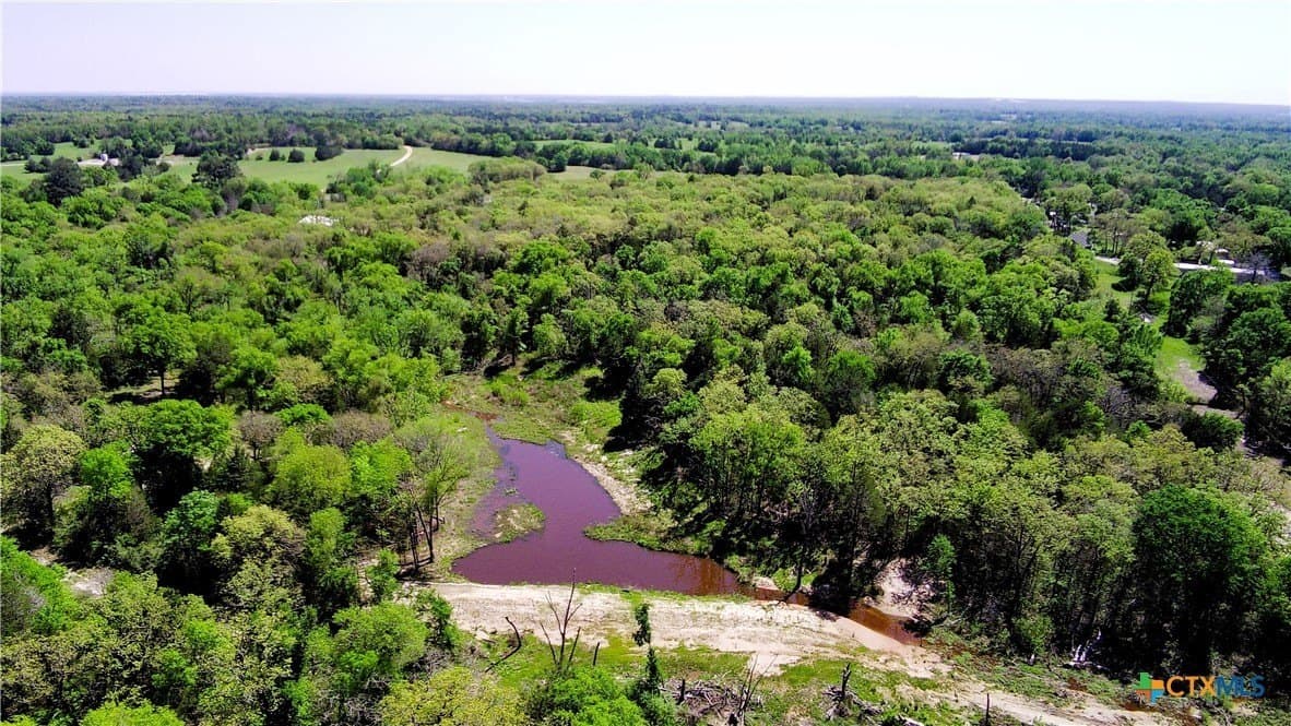 21 acres in Limestone County gallery image 2