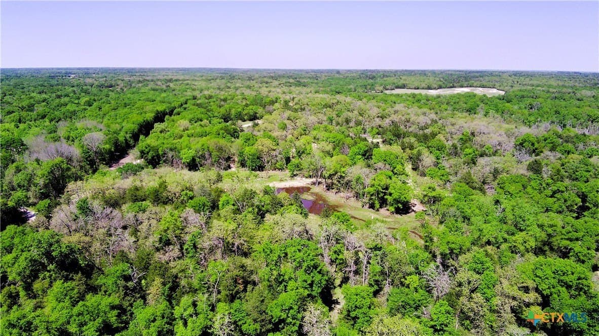 21 acres in Limestone County gallery image 3